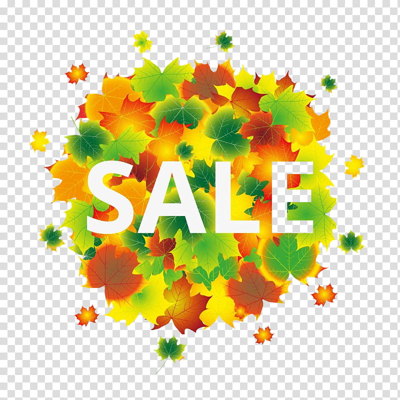 yellow transparent background PNG clipart