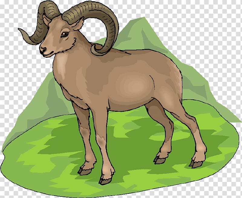 Drawing Of Family, Sheep, Argali, Horse, Barbary Sheep, Animal, Goat, Cattle transparent background PNG clipart