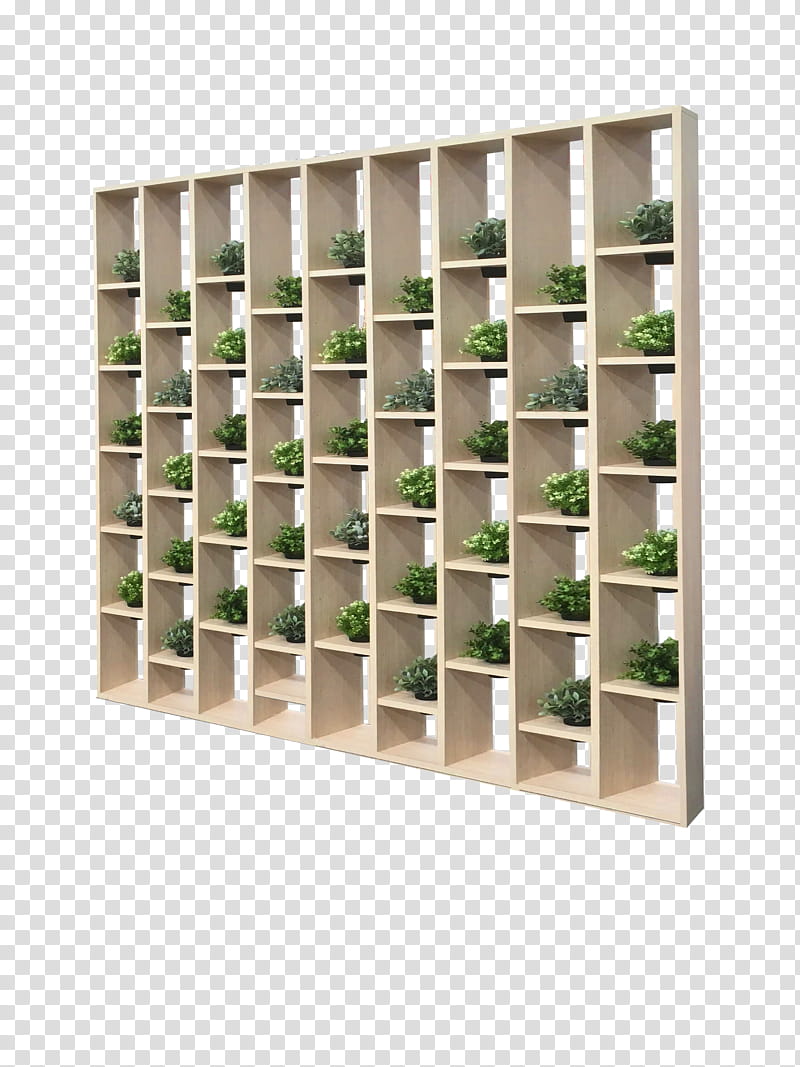 Background Green, Shelf, Green Wall, Furniture, Garden, Desk, Table, Chair transparent background PNG clipart