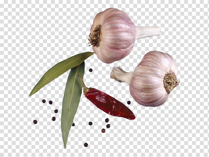 Onion, Condiment, Garlic, Spice, Seasoning, Vegetable, Herb, Black Pepper transparent background PNG clipart