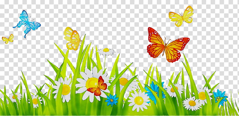Spring Flower, Computer, Grasses, Sky, Butterfly, Natural Landscape, Meadow, Spring transparent background PNG clipart