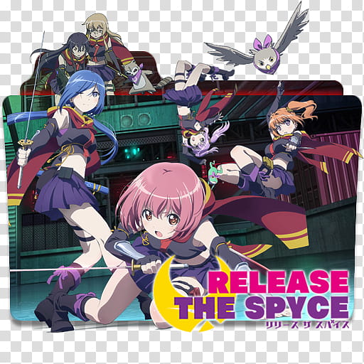 Release The Spyce Folder Icon, Release The Spyce transparent background PNG clipart