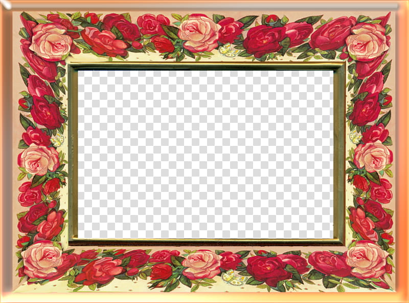 rose frame , rectangular red and pink rose flower frame transparent background PNG clipart
