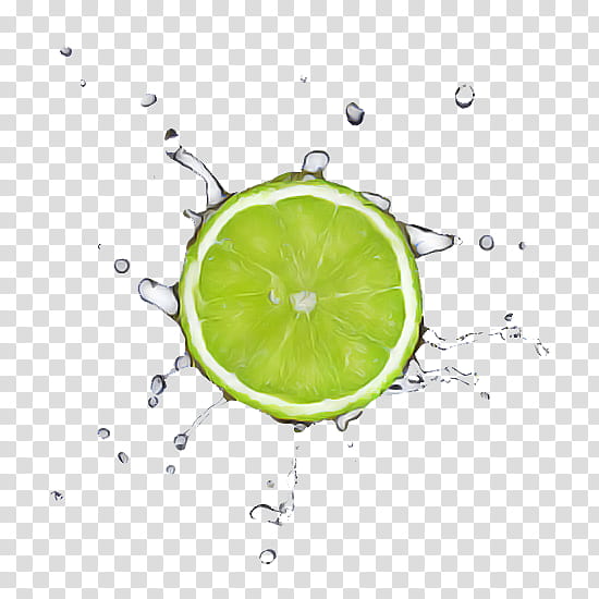 green lime citrus persian lime key lime, Lemon, Fruit, Sweet Lemon, Water, Plant transparent background PNG clipart