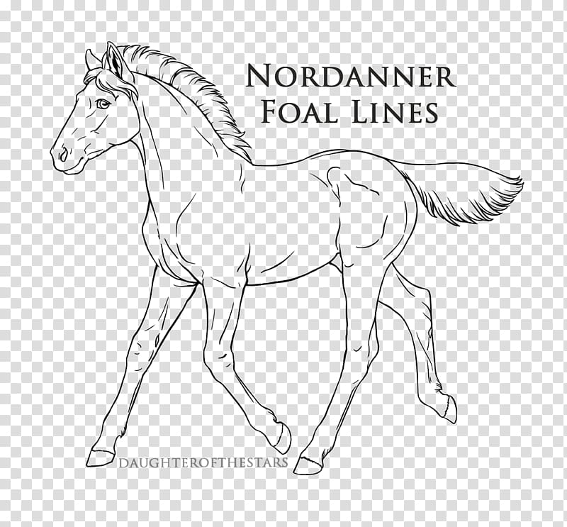 Nordanner Official Foal Lines, Nordanner Foal Lines illustration transparent background PNG clipart