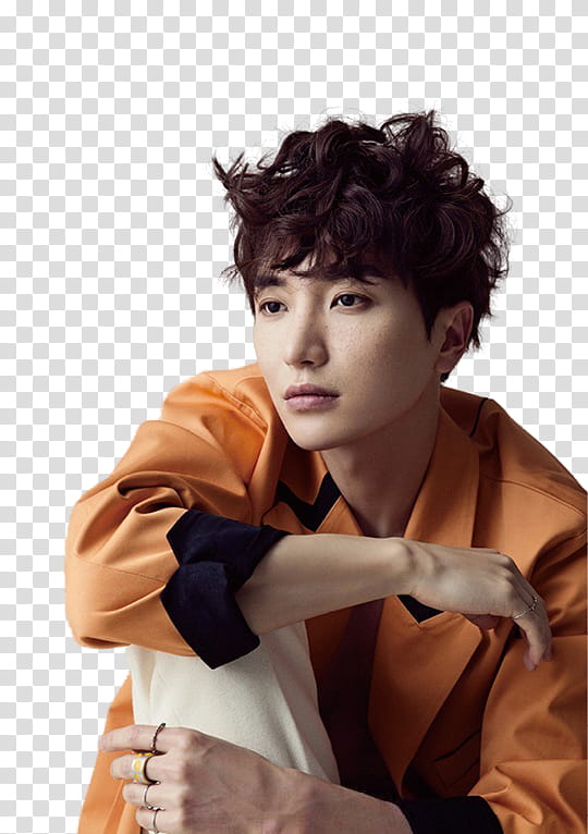 Super Junior leeteuk celebrity P transparent background PNG clipart