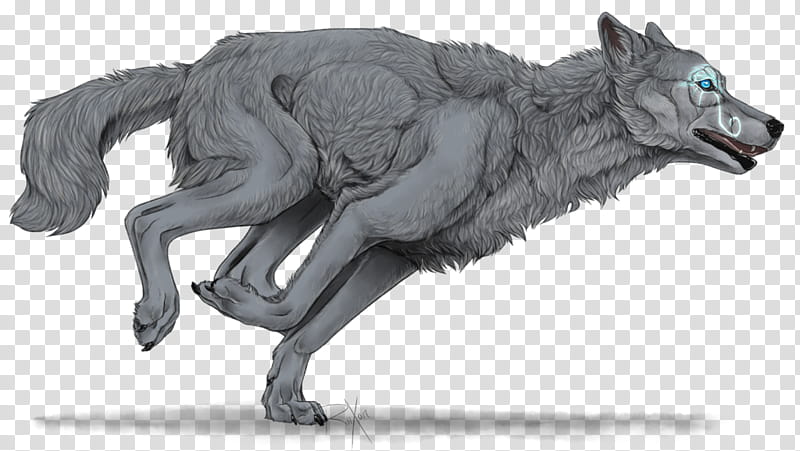 Gotta Go Fast, grey wolf illustration transparent background PNG clipart