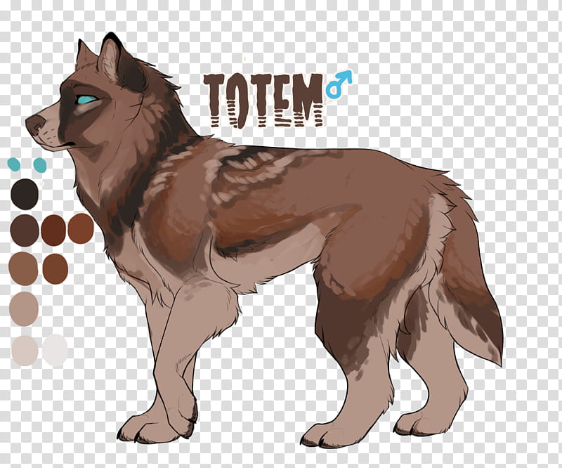 Wolf, Greenland Dog, Fur, Breed, Tail, Wildlife transparent background PNG clipart