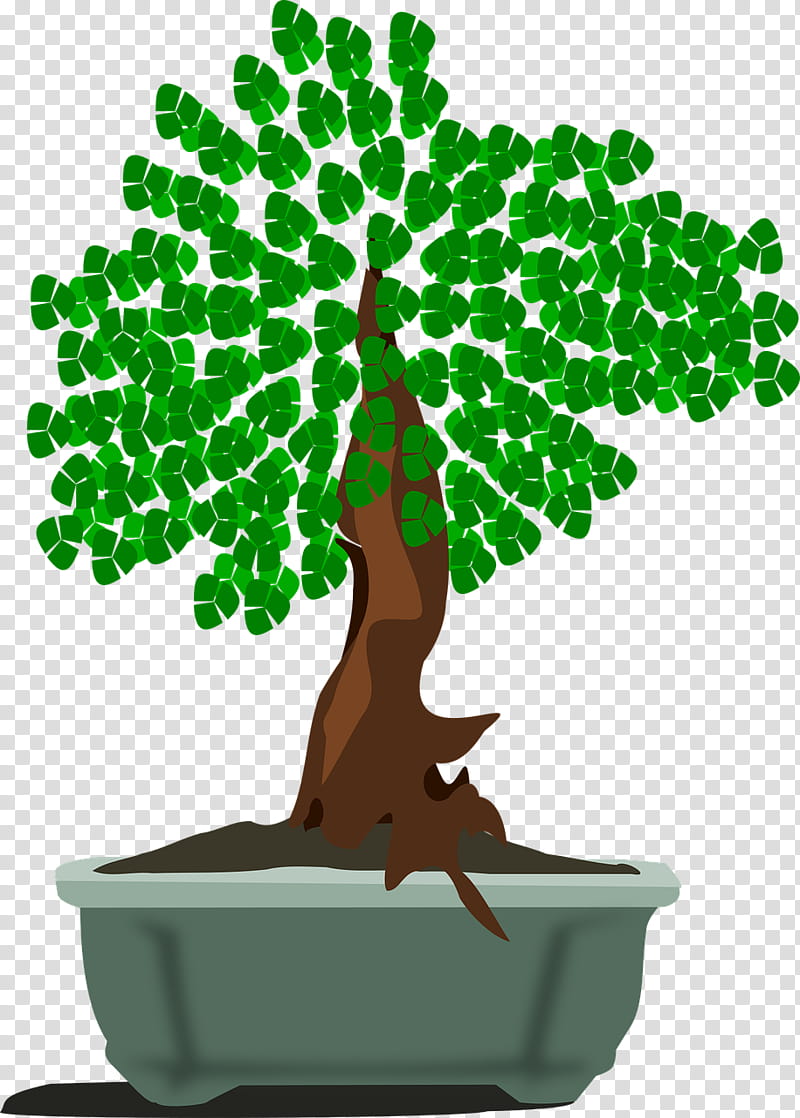 Green Leaf, Bonsai, Tree, Creating Bonsai, Ornamental Plant, Ficus Retusa, Pruning, Flowerpot transparent background PNG clipart