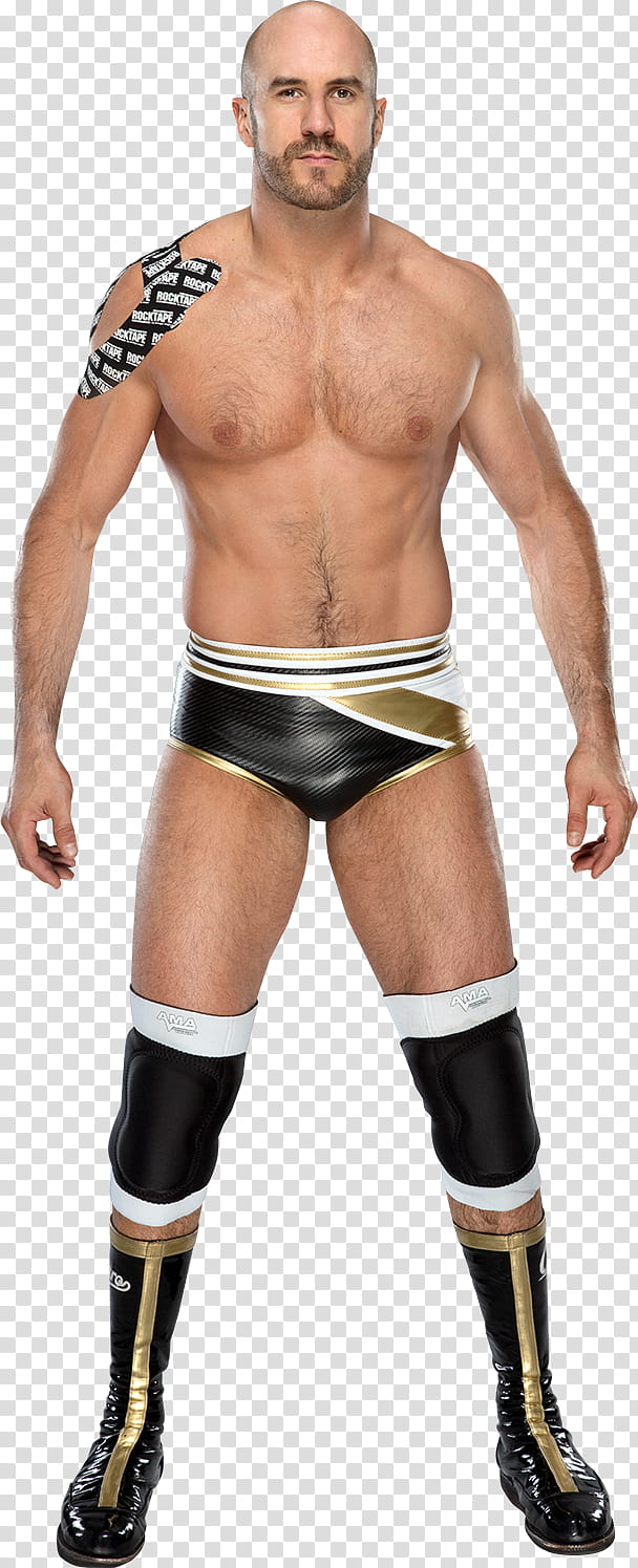 Cesaro  Full NEW Body transparent background PNG clipart