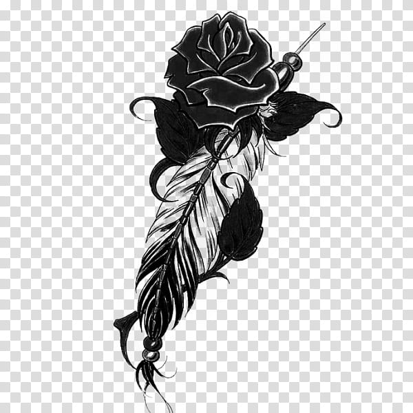 Materials, black rose and feather illustration transparent background PNG clipart