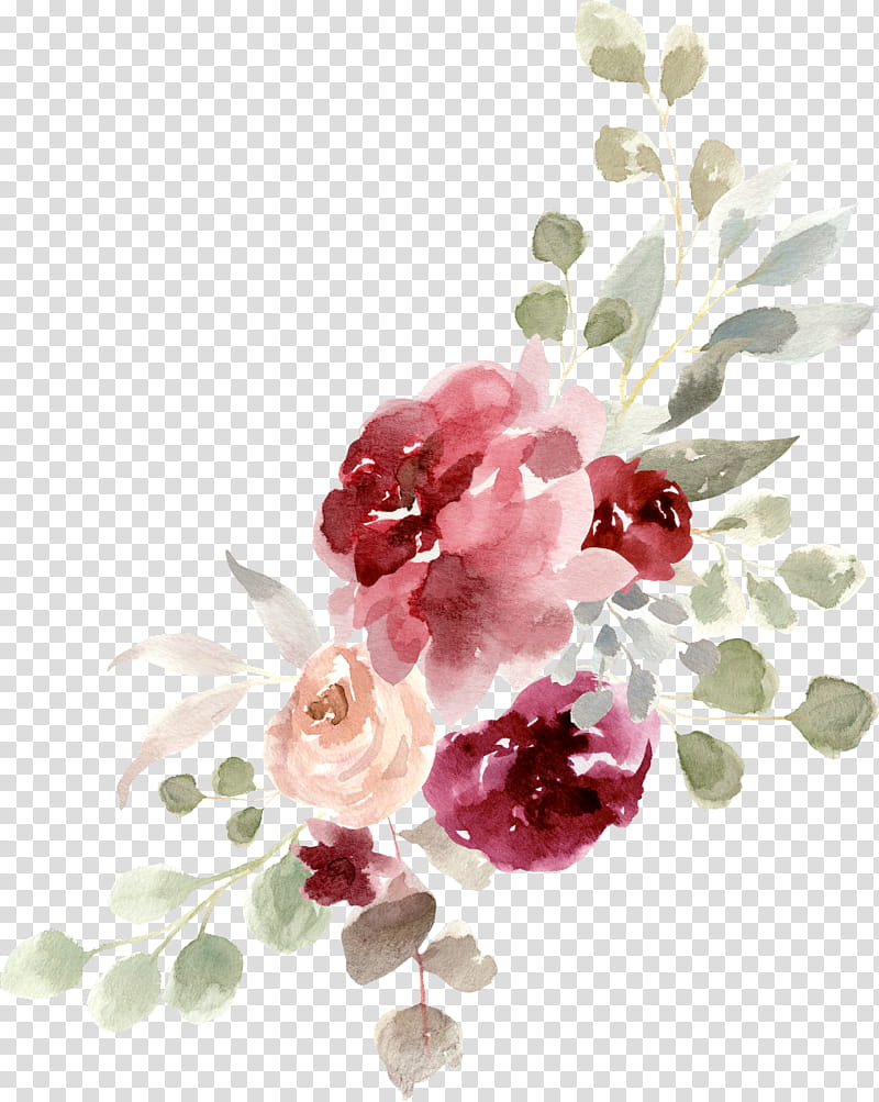 Flowers, Pledis Girlz, Wee Woo, Garden Roses, We Are Pristin, Video, Aloha, Still Life transparent background PNG clipart