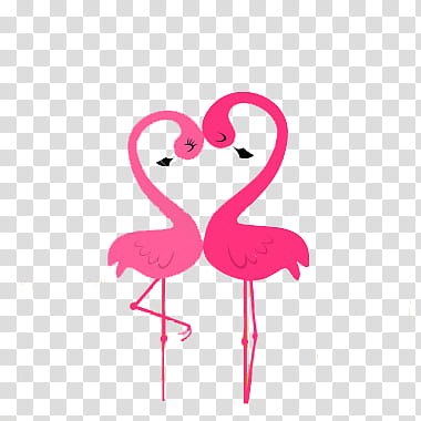 hermosos, two pink flamingo illustration transparent background PNG clipart