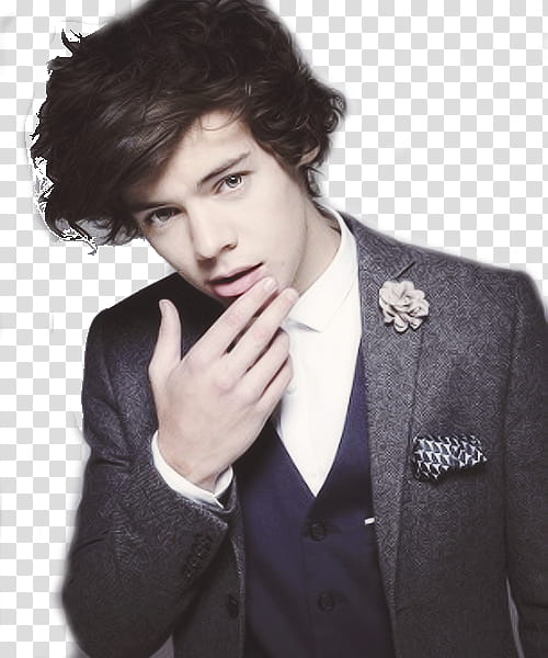 Harry Styles transparent background PNG clipart