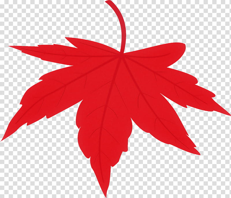 maple leaf fallen leaf dead leaf, Autumn Leaf, Red, Tree, Plant, Woody Plant, Black Maple, Sweet Gum transparent background PNG clipart