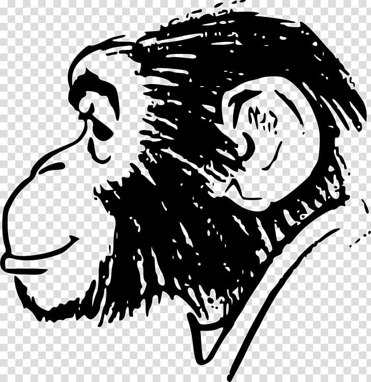Monkey, Ape, Chimpanzee, Drawing, Cartoon, Pencil, Face, Head transparent background PNG clipart