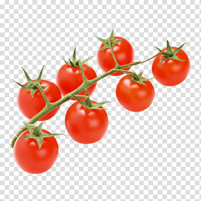 Potato, Plum Tomato, Bush Tomato, Tomato Juice, Fruit, Cherry Tomato, Vegetable, Food transparent background PNG clipart