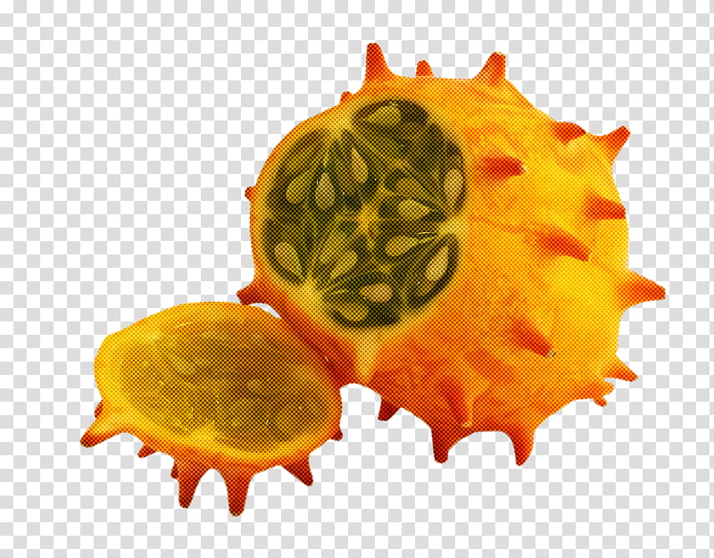 pitahaya yellow fruit cucumis horned melon, Food, Plant, Vegetable transparent background PNG clipart