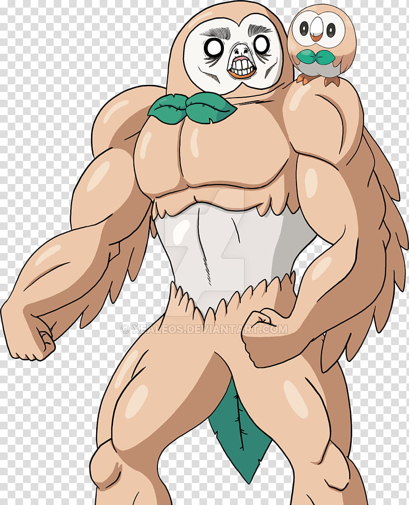 Rowlet, Jesus Christ, why does it have teeth!? transparent background PNG clipart
