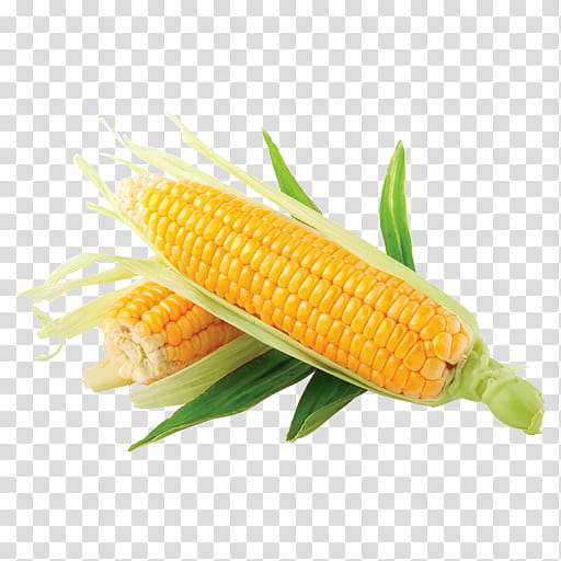 Background Baby, Sweet Corn, Baby Corn, Grain, Grits, Corn Kernel, Waxy Corn, Vegetable transparent background PNG clipart
