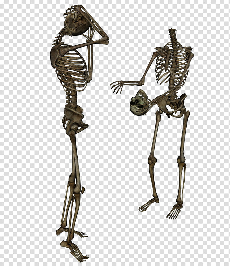 Skeleton Head Trade, two gray skeletons illustration transparent background PNG clipart