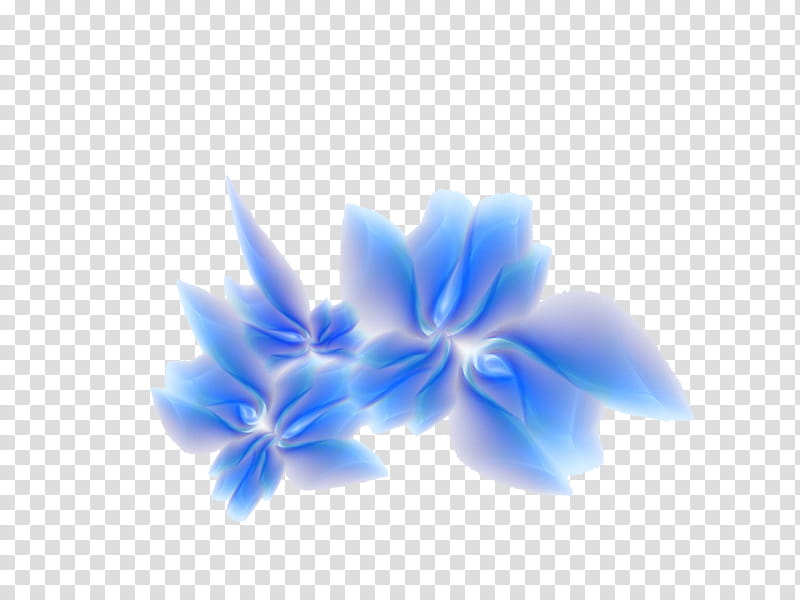 Black And White Flower, Floral Design, Blue, Yellow, Red, Navy Blue, Cobalt Blue, Petal transparent background PNG clipart