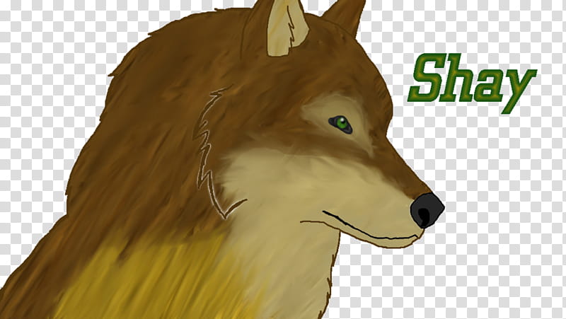 Fox Drawing, Dog, Snout, Character, Fox News, Wildlife, Red Wolf, Canis transparent background PNG clipart