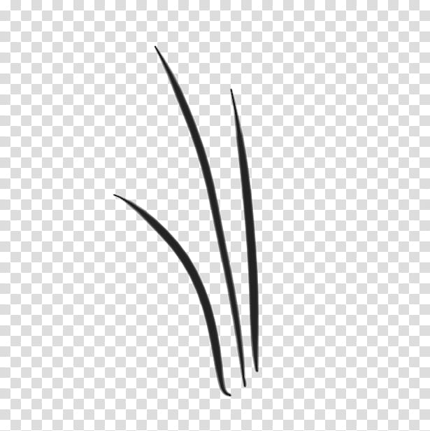Brushs ALL transparent background PNG clipart
