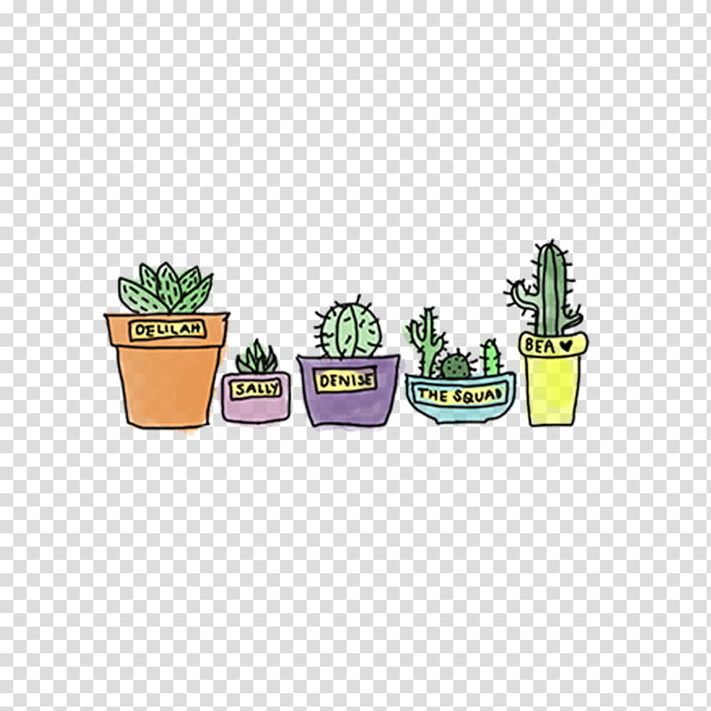 potted cactus and succulent plants transparent background PNG clipart