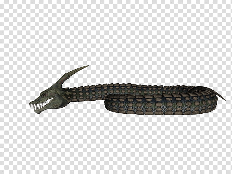 Dinokonda , gray snake monster illustration transparent background PNG clipart