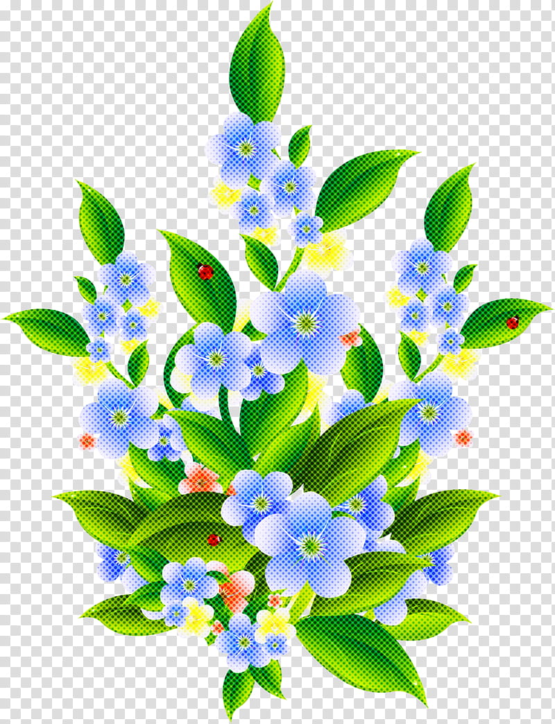 flower blue plant forget-me-not flowering plant, Forgetmenot, Leaf, Branch, Petal, Bouquet transparent background PNG clipart