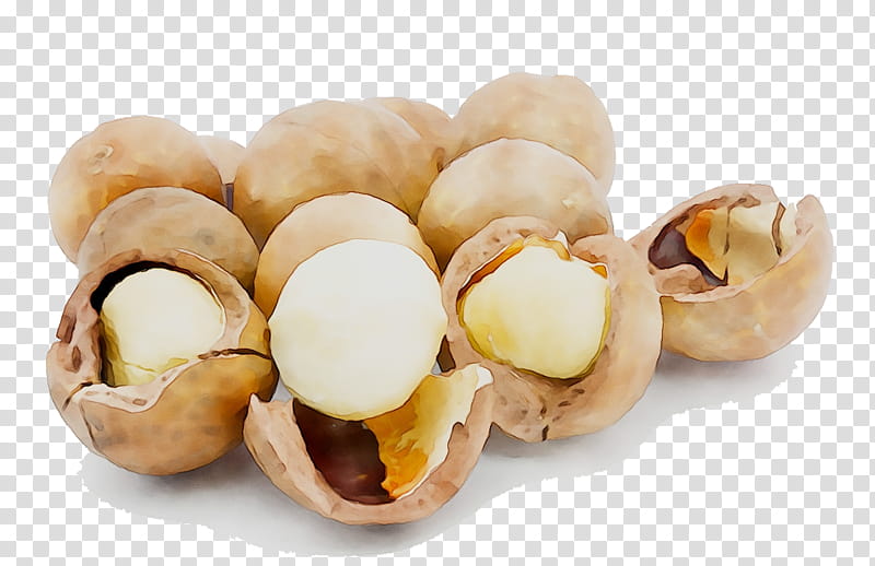Mushroom, Walnut, Dried Fruit, Cooking, Hazelnut, Coffee, Macadamia, Dish transparent background PNG clipart