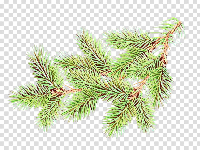 Christmas Black And White, Spruce, Animation, Larch, Gift, Christmas Ornament, Christmas Day, Email transparent background PNG clipart