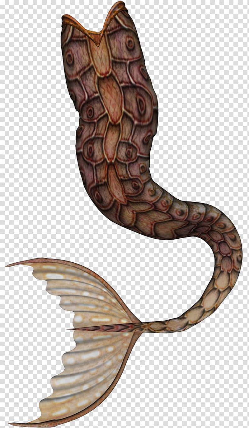 brown mer tails, brown and black sea creature illustration transparent background PNG clipart