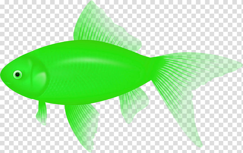 green fish fin fish tail, Bonyfish transparent background PNG clipart