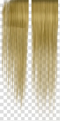 women's brunette hair extension transparent background PNG clipart