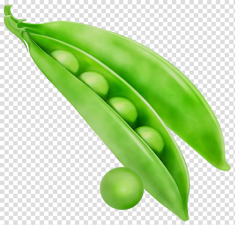 Green Leaf, Snow Pea, Vegetable, Vegetarian Cuisine, Snap Pea, Bean, Green Bean, Greens transparent background PNG clipart