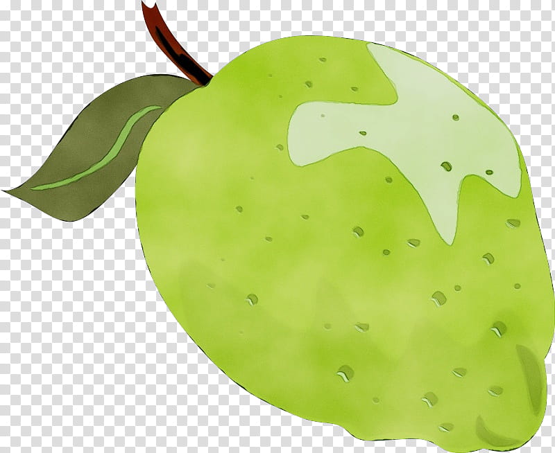 Green Leaf Watercolor, Paint, Wet Ink, Guava, Sour, Lime, Lemon, Fruit transparent background PNG clipart
