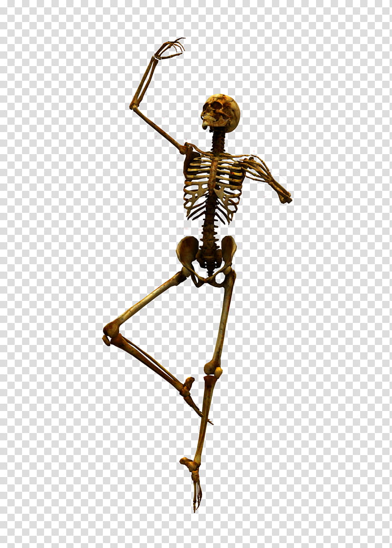 E S Bones II, black human skeleton transparent background PNG clipart