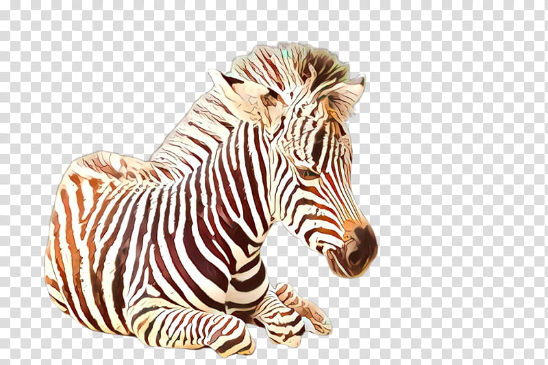 zebra animal figure wildlife head snout, Mane, Quagga transparent background PNG clipart