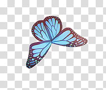 blue and black butterfly wings close-up transparent background PNG clipart