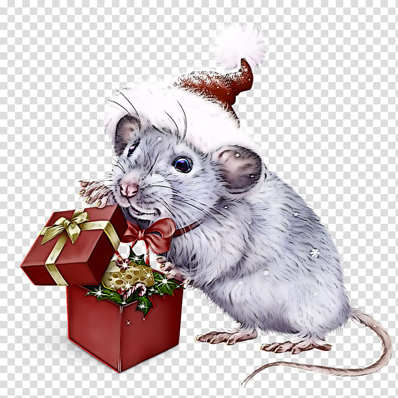 Hamster, Rat, Mouse, Gerbil, Muroidea, Muridae, Chinchilla, Pest transparent background PNG clipart