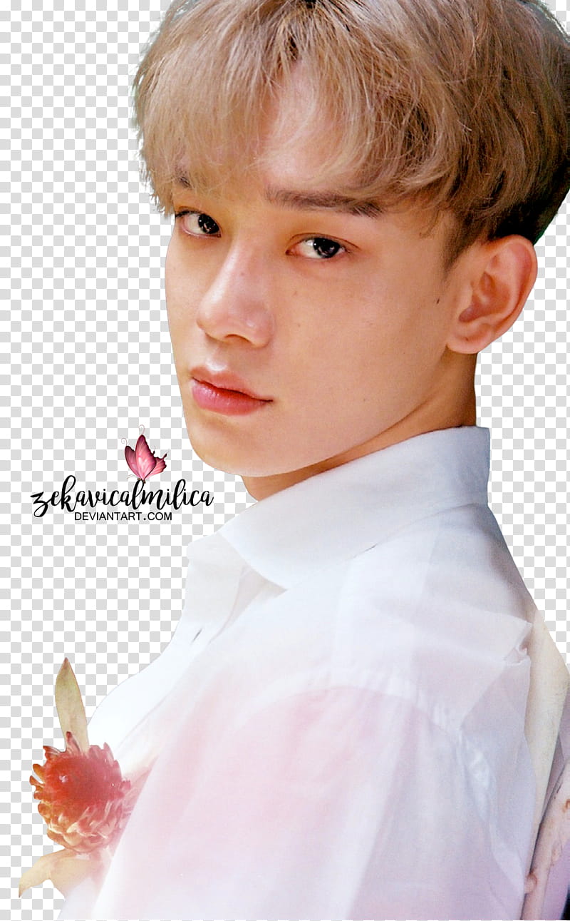 EXO Chen The War, man wearing white button-up shirt transparent background PNG clipart