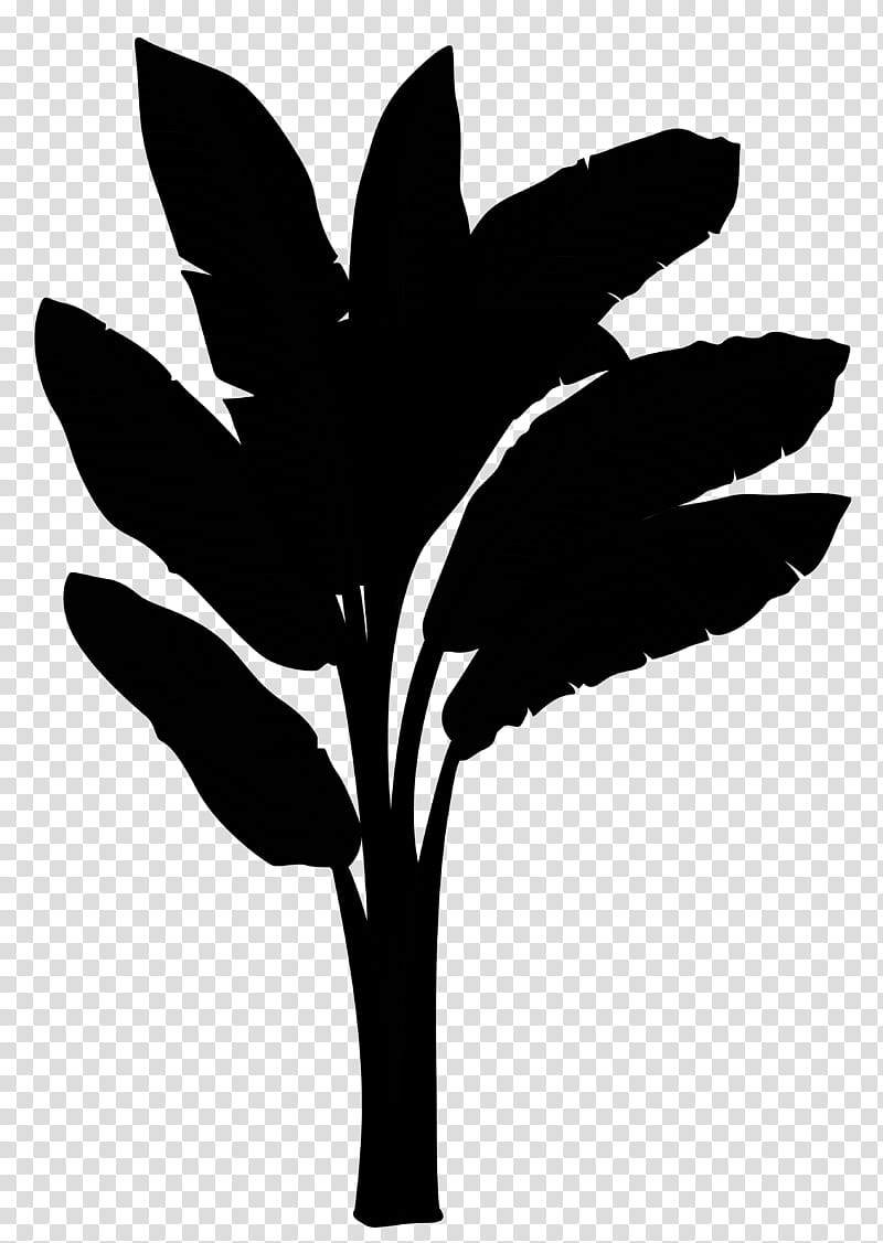 Banana Leaf, Plantain, Musa Acuminata, Musa Balbisiana, Hardy Banana, Bananas, Blackandwhite, Tree transparent background PNG clipart