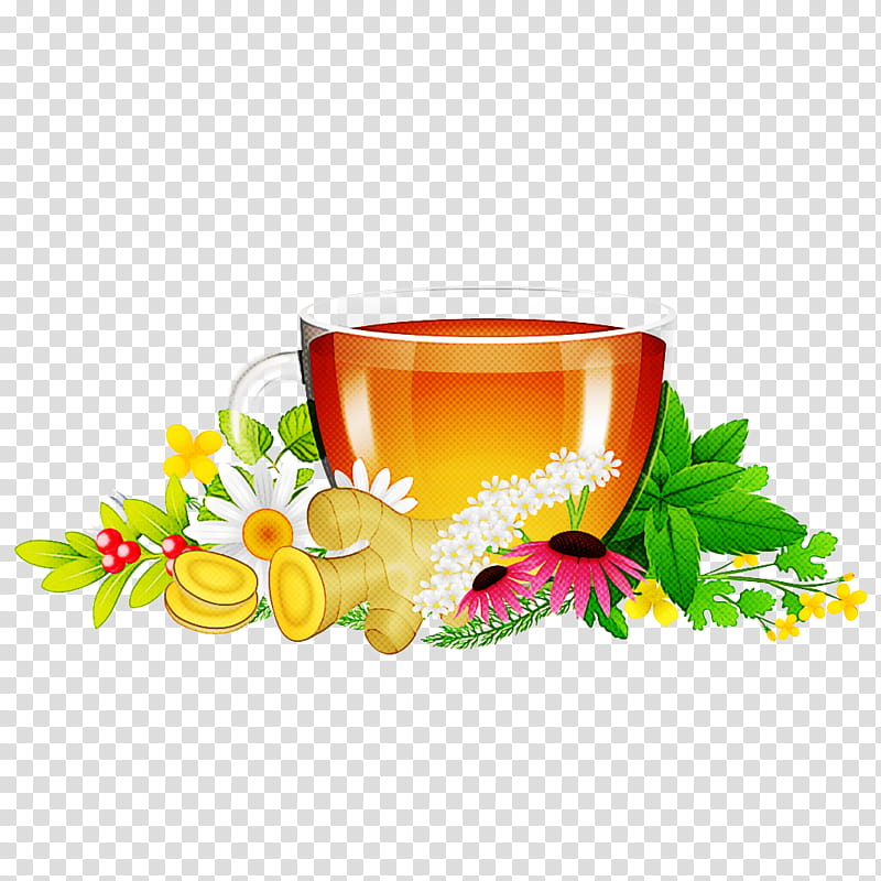 drink plant flower herbal herbaceous plant, Chinese Herb Tea transparent background PNG clipart
