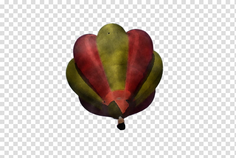 Hot air balloon, Leaf, Plant, Flower, Petal, Magnolia, Magnolia Family, Heart transparent background PNG clipart