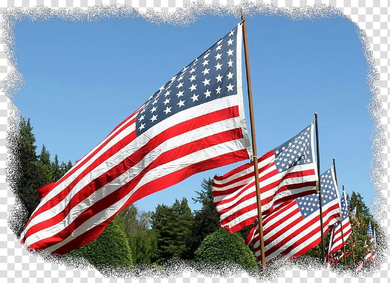 Veterans Day Usa Flag, 4th Of July , Happy 4th Of July, Independence Day, Fourth Of July, Celebration, Flag Of The United States, Tree transparent background PNG clipart