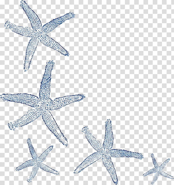 Starfish, Cobalt Blue, Body Jewellery, Human Body transparent background PNG clipart