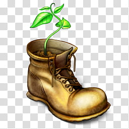 green leafed plant in shoe pot transparent background PNG clipart