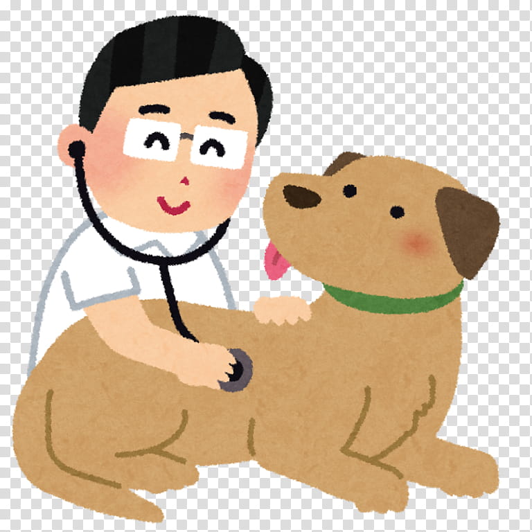Cat And Dog, Veterinarian, Veterinary Medicine, Paraveterinary Worker, Pet,...